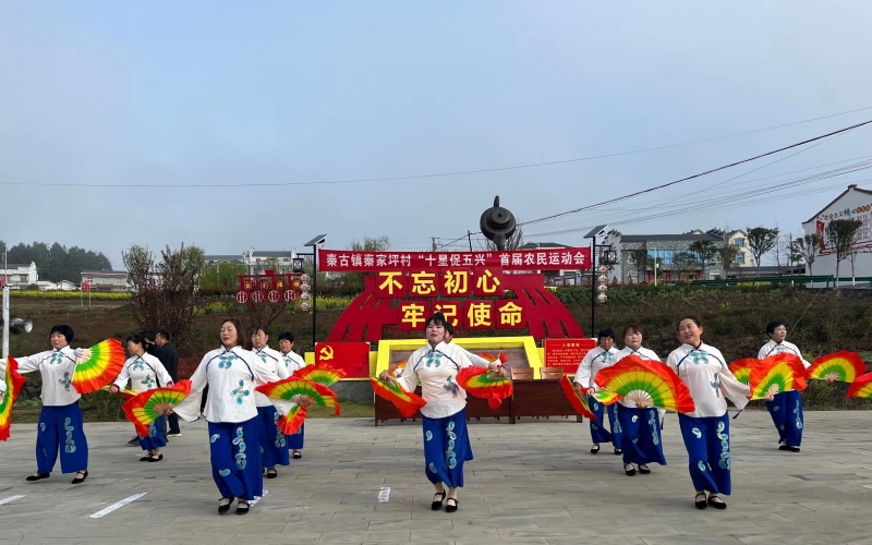 秦古鎮秦家坪村“十星促五興”首屆農民運動會。