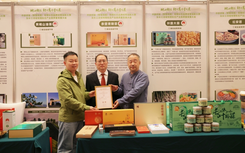 中部四省地理標志品牌培育創新大賽“赤壁青磚茶”獲金獎。田紅雲攝