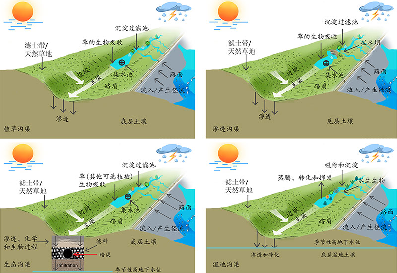 pg电子官网《工程管理前沿》（英文刊）聚焦如何实现城市与自然融合共生(图3)