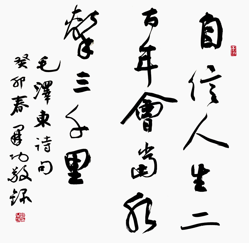 風格獨具 奇肆開張——魏開功書法評彈【2】