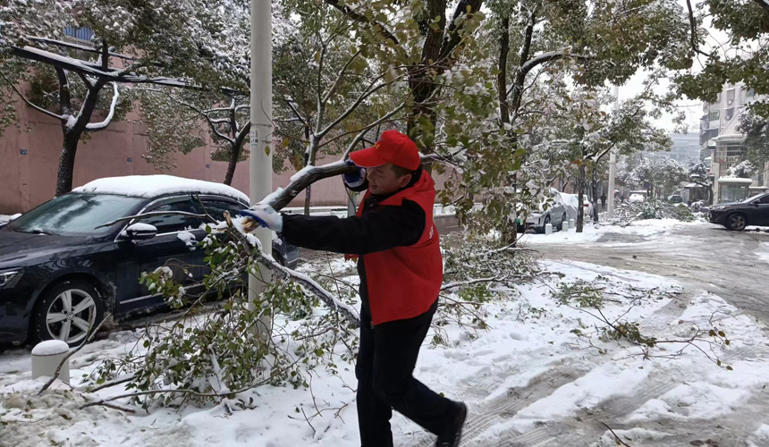 “以雪為令”武昌區青年志願者投身鏟雪保暢通