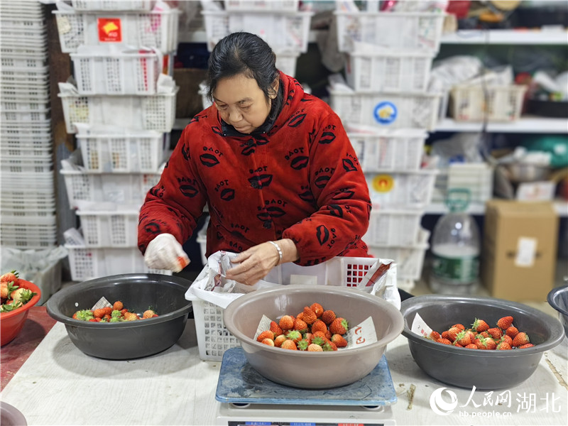 果农将草莓装盒。人民网记者 肖璐欣摄