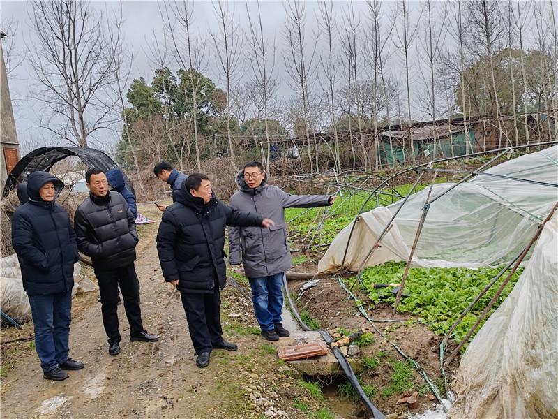 2月21日，東西湖區農業農村局王燕常副局長帶隊到長青街道查看蔬菜和大棚受災情況。
