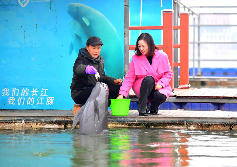 2023年12月28日，王琼带队前往天鹅洲白鱀豚国家级自然保护区。刘斌摄