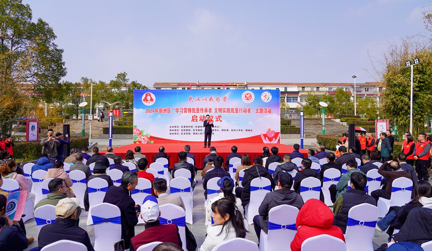 武汉新洲启动“学雷锋志愿服务”主题活动