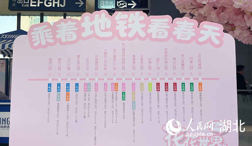 武汉地铁赏花主题线路。人民网记者 周恬摄
