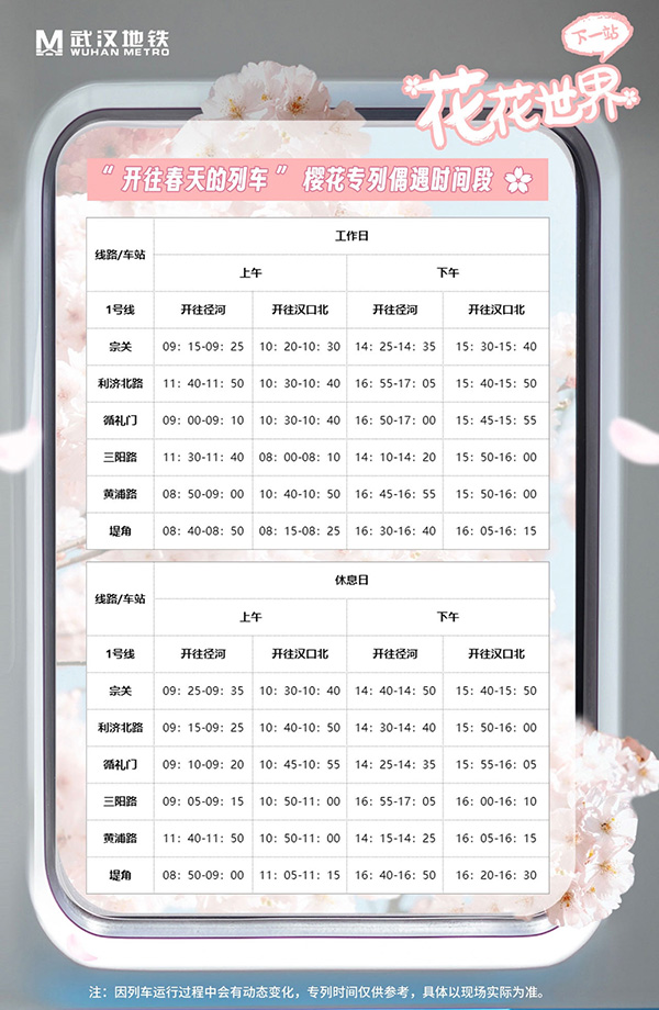 “开往春天的列车”樱花专列偶遇时间表。