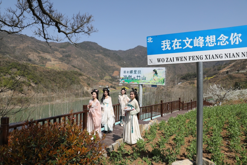 湖北竹山：2000亩脆红李花开【6】