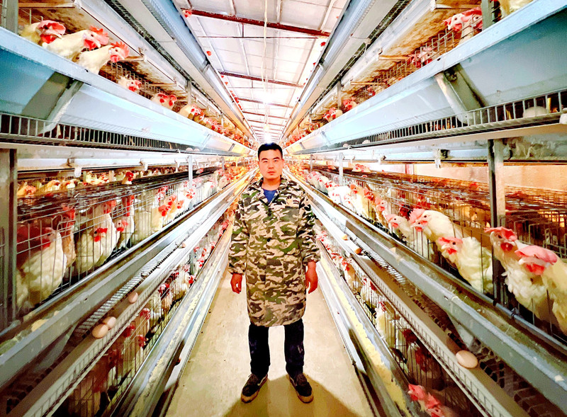 图为“养殖创业能手”吴松刚和他的养鸡车间。刘峰摄