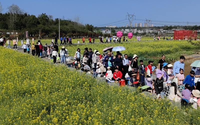 第二屆咸安區櫻花文化旅游系列活動啟動。