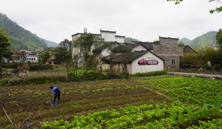 在通山石門村長夏畈古民居群，村民正在田間勞作。人民網記者 周雯攝