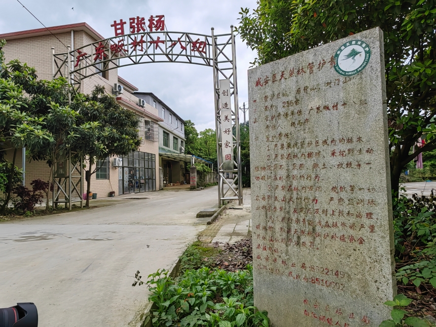湖北咸安：千万“生态红包”助天然林绿意盎然【2】