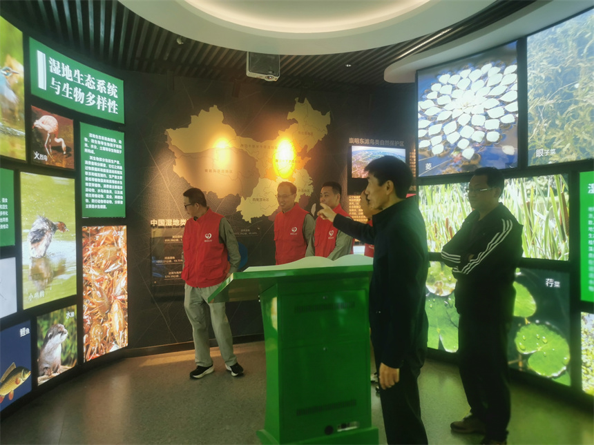 湖北黄冈电力：湿地保护行动守护美丽家园【4】