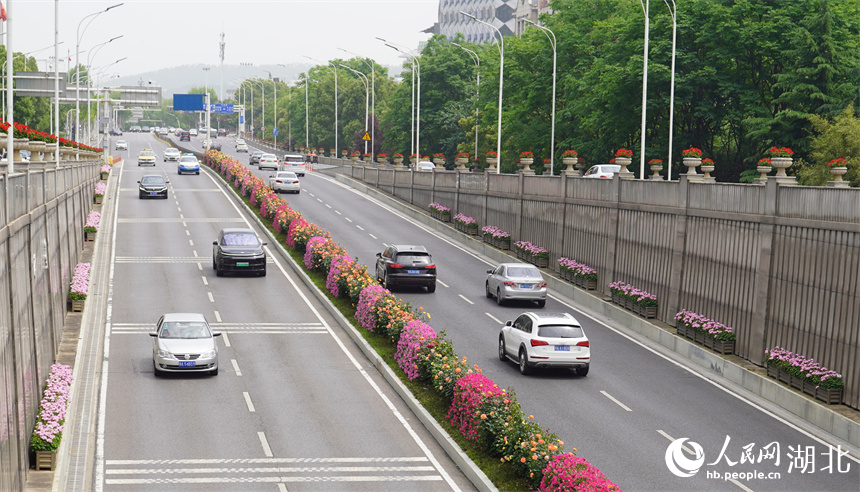 武汉市武昌区楚汉路上，鲜花装点着车道。人民网记者王郭骥摄