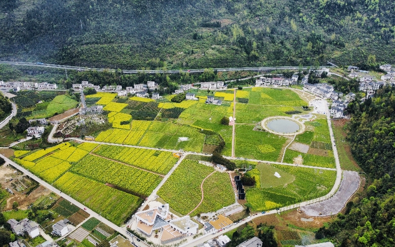 小山村风景如画。