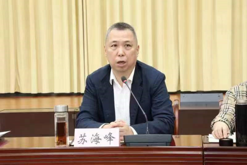 硚口区委副书记、区政府区长苏海峰在会议上发言