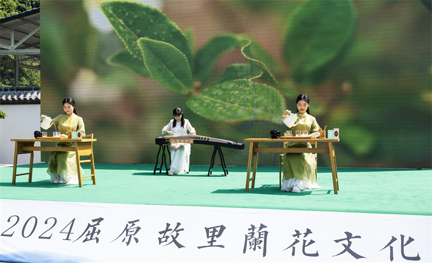 5月6日，湖北省秭归县九畹溪镇九畹丝绵茶茶农在活动现场表演茶艺。