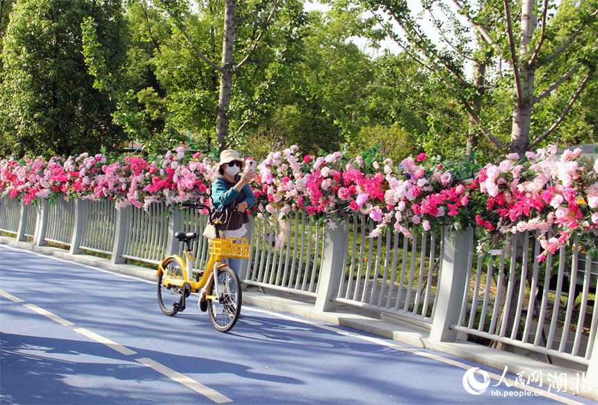 市民在蔷薇花造景的花桥上拍照。人民网记者 周恬摄