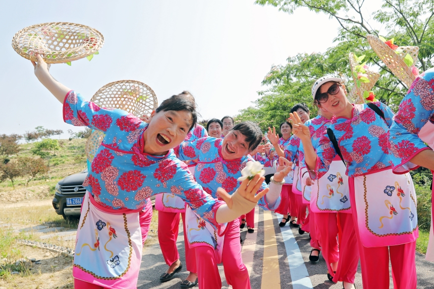 武汉新洲：茶园绿叶成乡村振兴发展的“金”叶【3】