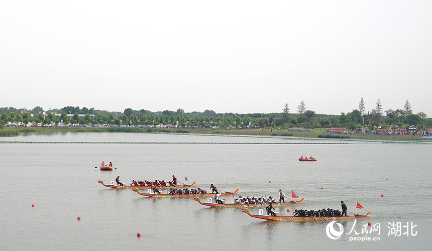 龙舟赛在杜公湖国家湿地公园举行。人民网记者 周雯摄