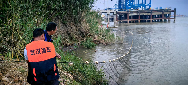 抓捕鳄鱼。武汉市农业农村局供图