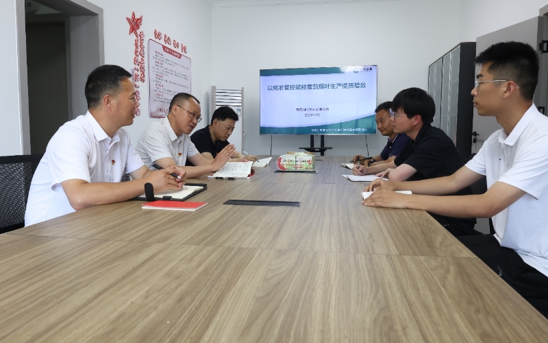 上洋村星火微“茄”党小组研究烟叶生产问题。