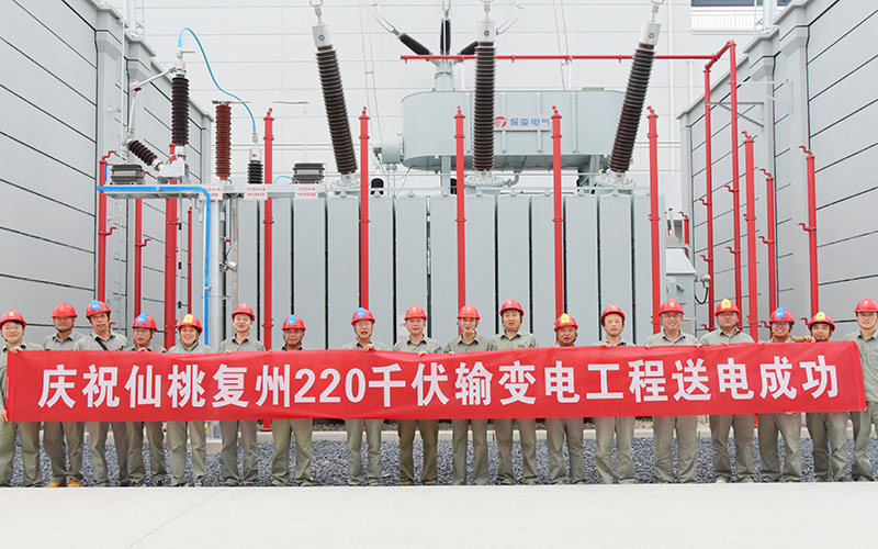 潛江龍灣—老新110千伏線路工程成功投運