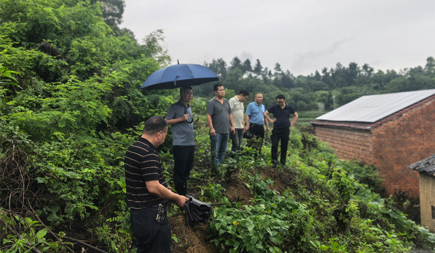 武穴市全力应对防范梅雨期地质灾害
