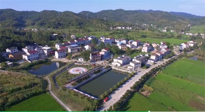 湖北浠水丁司垱:缔造“家门口”的幸福圈