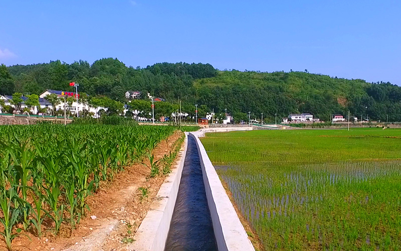 湖北省十堰市鄖陽區譚家灣鎮黃畈村渠水嘩嘩稻青青