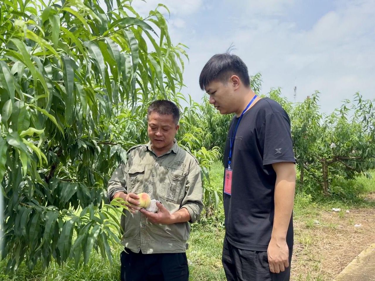 石佛寺镇纪委在辖区王祖农产品专业合作社向群众了解惠农资金补贴相关情况。