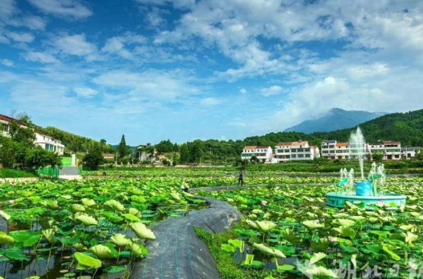 湖北武穴多彩旅游路串起一路好风景。