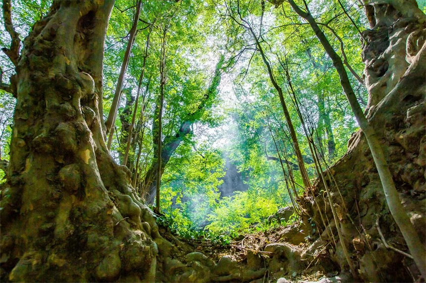 湖北孝感一旅游线入选全国乡村旅游精品线路