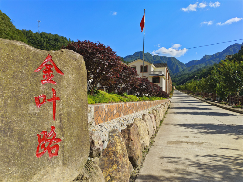 美丽村庄