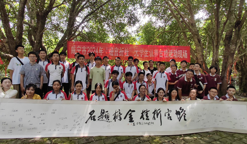 湖北咸安:学子认养古桂