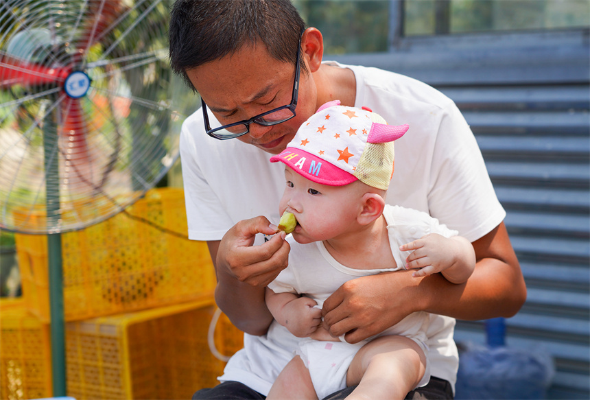 甜“獼”來襲！武漢新洲區第二屆獼猴桃節開幕【5】