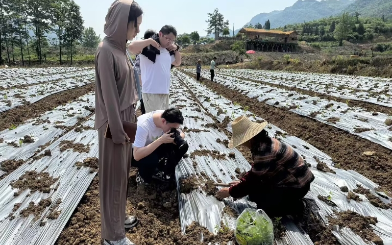 青年员工将镜头对准田间地头。