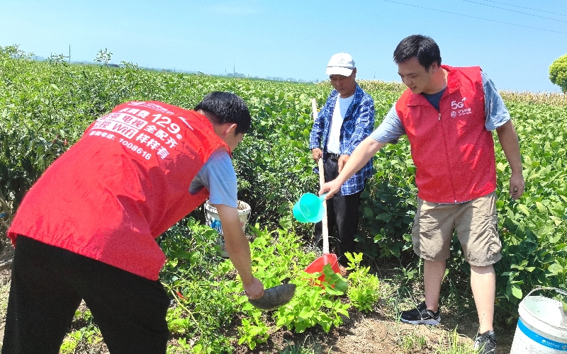 热浪滚滚，湖北移动驻村工作队不惧高温浇灌农田。
