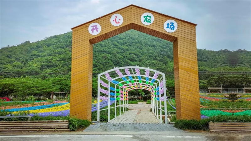 菖蒲村开心农场旅游体验区。李丹青摄