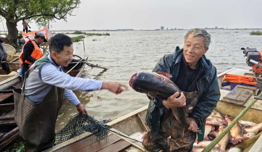 鱼跃人欢!咸安斧头湖首日开湖捕鱼【3】