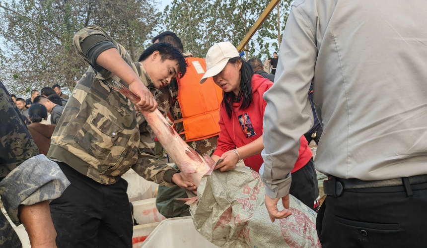 鱼跃人欢!咸安斧头湖首日开湖捕鱼【4】