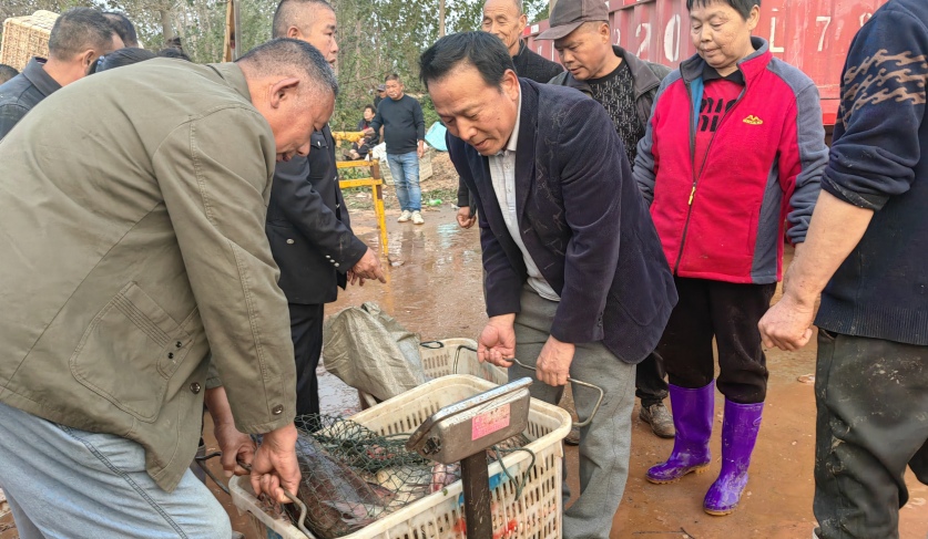 魚躍人歡！咸安斧頭湖首日開湖捕魚【5】