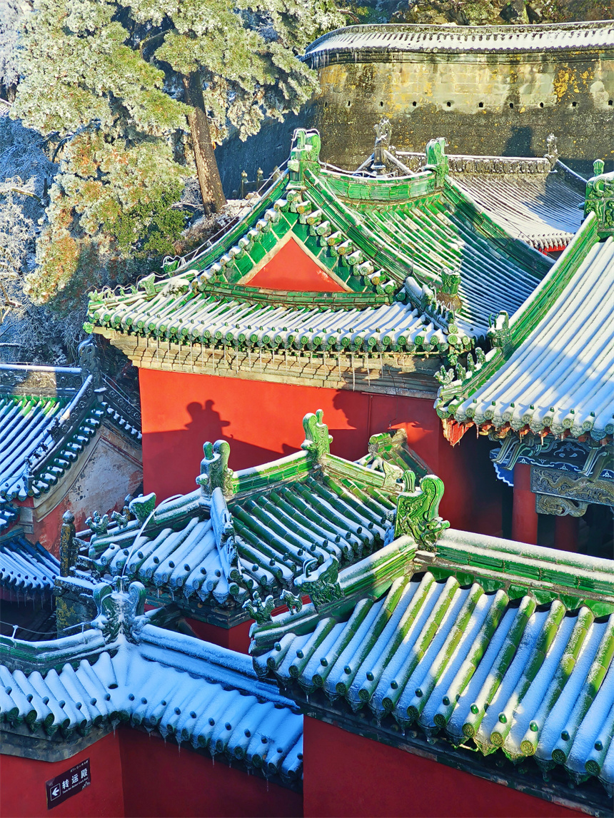 琼枝玉宇