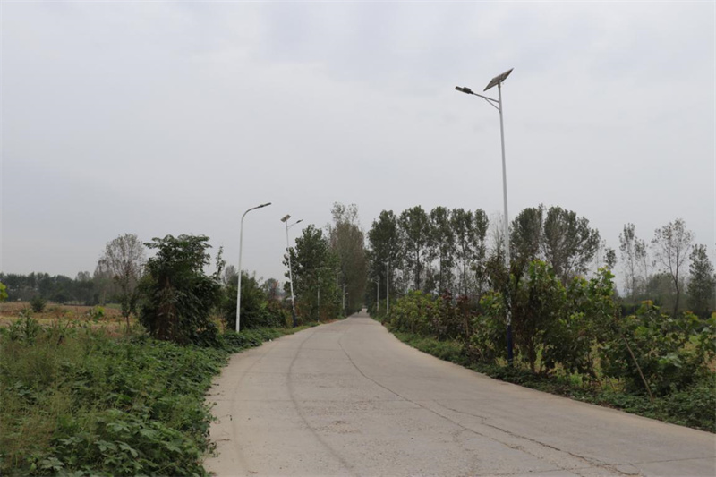 道路两旁的路灯