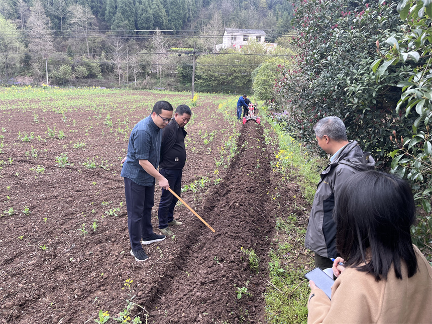 執科研創新之筆 繪產業發展新畫卷