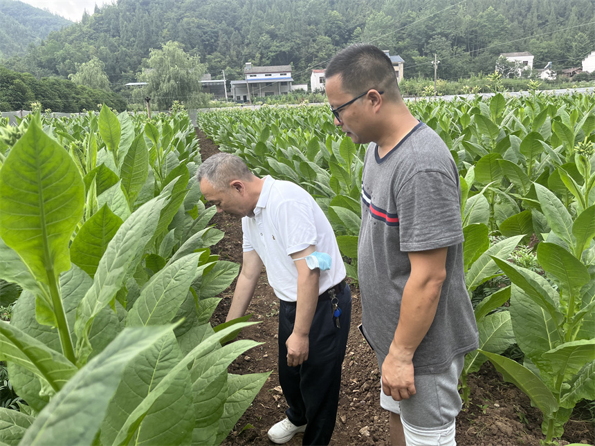 執科研創新之筆 繪產業發展新畫卷