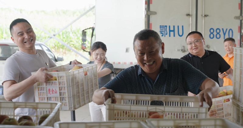 宜城煙草志願者幫助王家美將黃桃裝車。