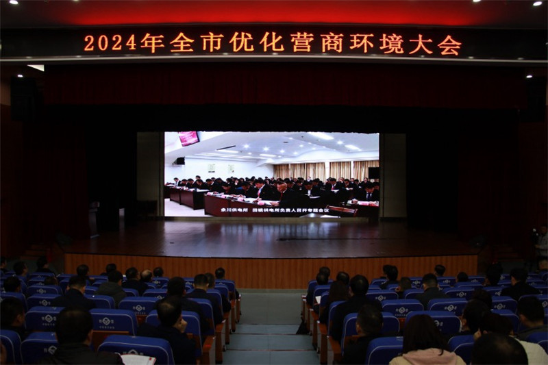 武穴市召开2024年全市优化营商环境大会