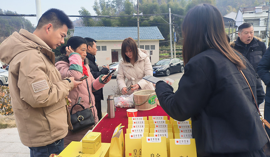 武汉市民下乡打年货助农民增收【4】