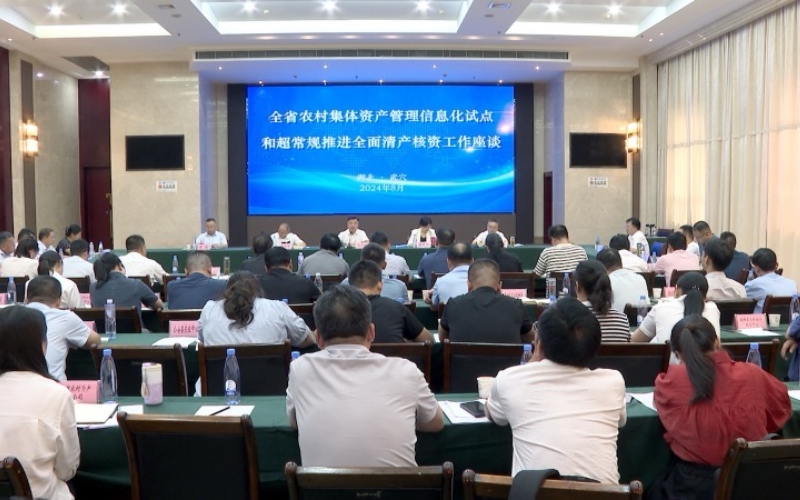 圖為全省農村集體資產管理信息化試點和超常規推進全面清產核資工作座談在武穴舉行。